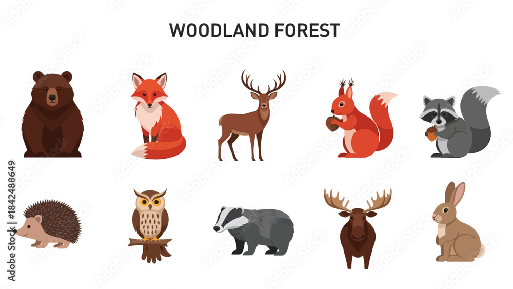 Fototapeta premium Ten cartoon woodland forest animals arranged in two horizontal rows against a white background