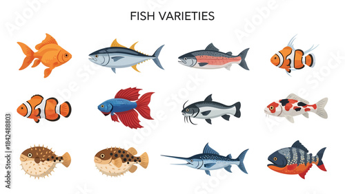 Twelve distinct fish illustrations arranged in three rows of four against a white background
