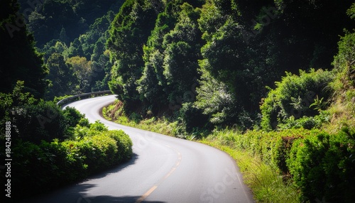 Winding Mountain Road Through Lush Green Forest Landscape