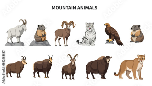 Vector illustration of ten different mountain animals on a white background