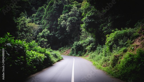 Winding Road Through Lush Green Forest Landscape