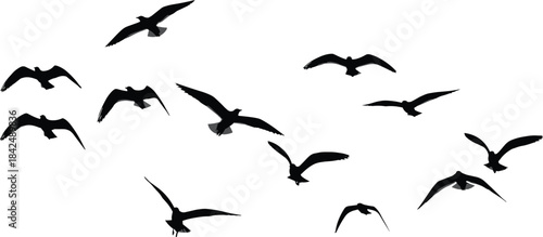 Bird silhouette vector set, flying pose icons, wing motion shapes, black flat illustration, cad drawing flat vector illustration