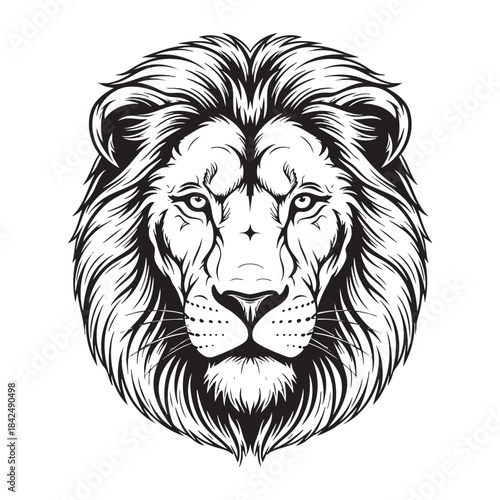Lion Head Line Art Vector
