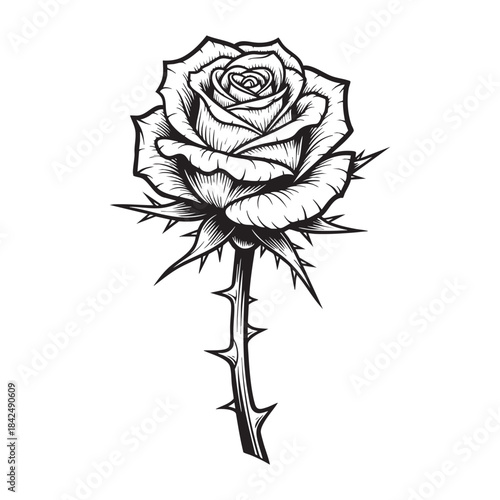 Gothic Rose Vector