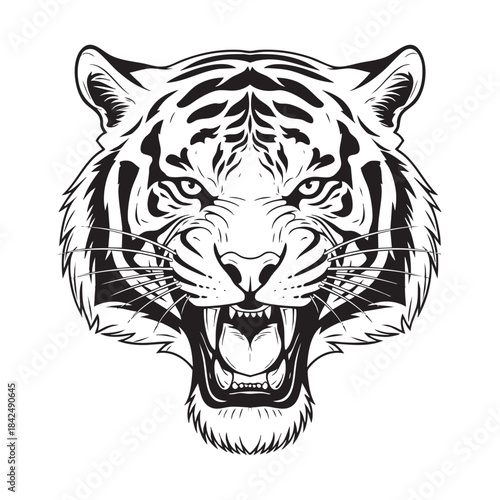 Tiger Head Black and White Vector