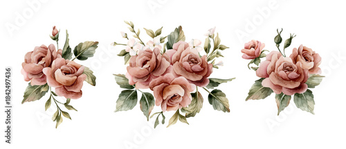 Roses with buds and leaves. Dusty pink garden flower arrangements set. Watercolor hand painted floral isolated illustration on white background for wedding design home textile porcelain crockery card