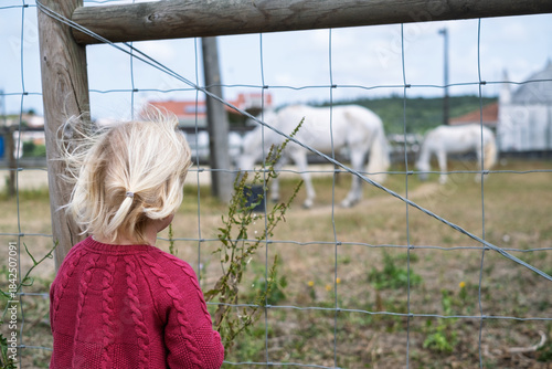 A little girl is watching horses with curiosity and quiet excitement 