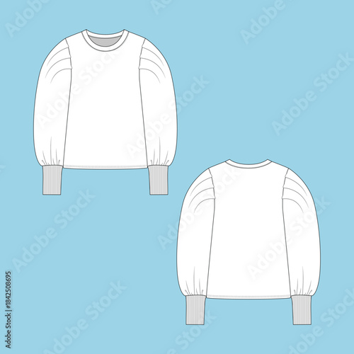 Women's Flat Sketch with different Style details and  added trims value, Henley top with cut & sew details.
