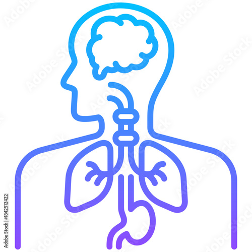 Illustration elements of Anatomy