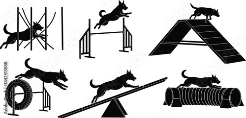 Dog agility, silhouette dog, dog training, obstacle course, weave poles, dog jump, tire jump, dog tunnel, dog ramp, dog seesaw, active dog, sport dog, agility course, dog competition