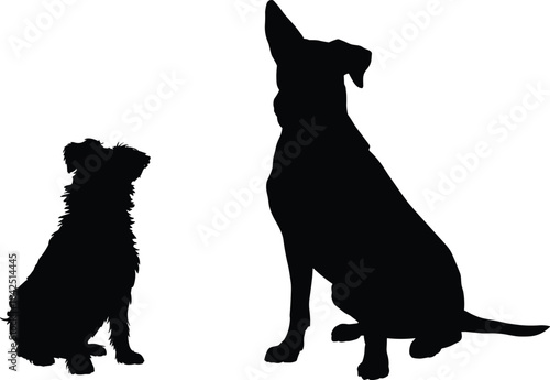 Dog silhouettes sitting, black figures, pet posture, canine contrast, shaggy dog, smooth coat, animal pair, loyalty, calm pose, domestic pets, sitting dogs, silhouette illustration