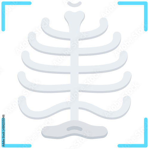 Illustration elements of Radiology