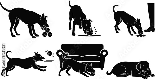 Dog, ball, chewing, running, vomiting, pet, toy, danger, playful, indoor, couch, action, sequence, black, white, illustration, sketch, behavior, safety, animal