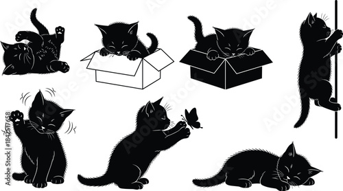 Playful black kittens, cute poses, cardboard box, butterfly interaction, climbing pole, sleeping cat, vector illustration, animal silhouette set