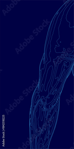 A minimalist blue line drawing of a woman's torso and arm, featuring clean anatomical contours against a dark blue background.