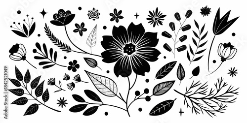 Elegant black and white floral elements and botanical illustrations arranged dynamically