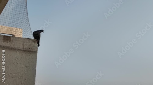 pollution in the city AT 2