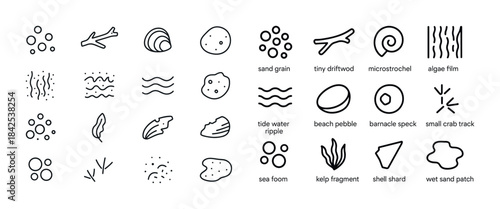 Coastal elements icons: driftwood, shells, algae, tide ripples,