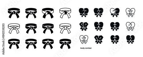 Martial arts belt icons and boxing glove symbols collection