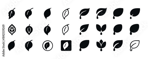 Set of diverse leaf icons in various silhouettes and styles