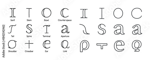 Typography anatomy chart featuring font elements and design term