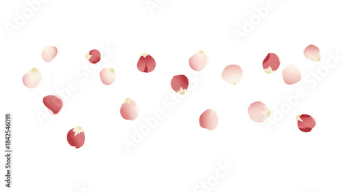 Petal Cascade: Delicate rose petals in soft hues of pink and red dance gracefully, creating an ethereal and romantic ambiance.