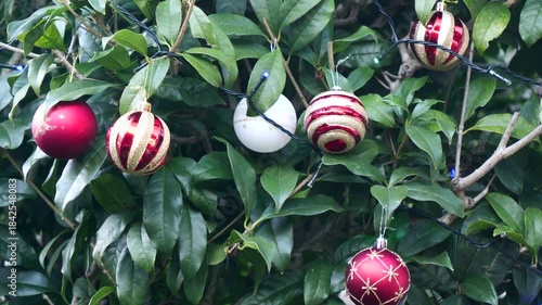 木に飾ったクリスマスのオーナメント