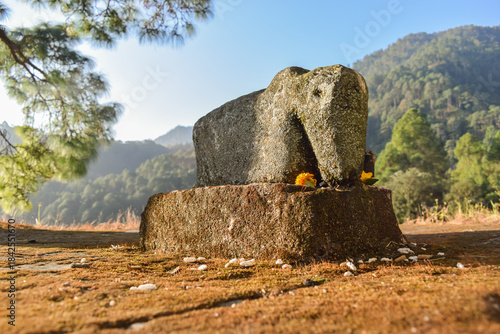 Lord Shiva's vahana is the sacred bull Nandi.