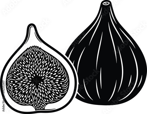Whole and sliced fig fruit botanical vector drawing