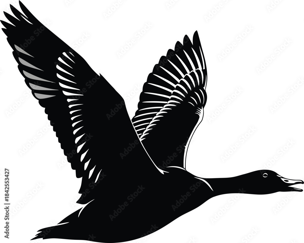 Obraz premium Flying Duck Silhouette Vector