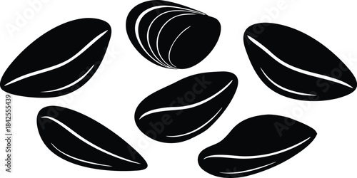mussel shell icon silhouette vector illustration