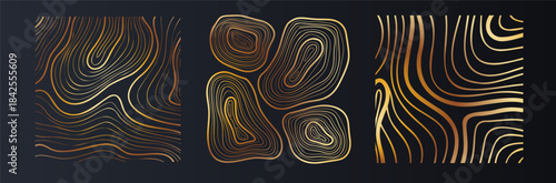 Golden Organic Line Poster Set for Premium Decor