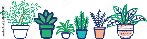 A charming illustration featuring a row of six different potted houseplants in varied containers isolated on transparent background, Vector