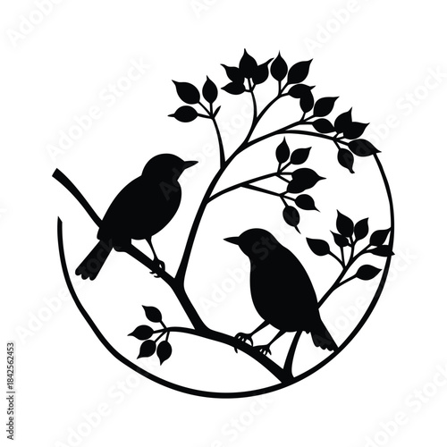 two tailorbirds silhouette on a tree