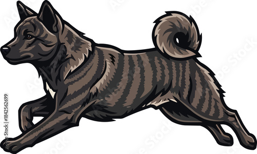 Kai Ken dog running jumping athletic motion pose