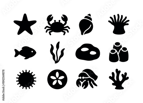 Marine Life Icons. Marine life near the shore. Solid icon set of