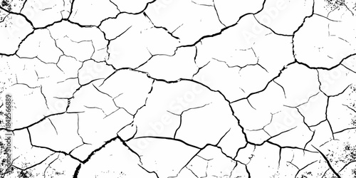 High-contrast cracked texture on a white background, featuring organic fracture lines and distressed surface details. Perfect for abstract backgrounds, grunge design, overlays, and artistic effects.