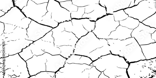 High-contrast cracked texture on a white background, featuring organic fracture lines and distressed surface details. Perfect for abstract backgrounds, grunge design, overlays, and artistic effects.
