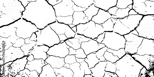 High-contrast cracked texture on a white background, featuring organic fracture lines and distressed surface details. Perfect for abstract backgrounds, grunge design, overlays, and artistic effects.