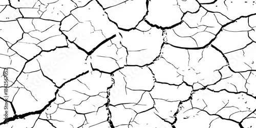 High-contrast cracked texture on a white background, featuring organic fracture lines and distressed surface details. Perfect for abstract backgrounds, grunge design, overlays, and artistic effects.