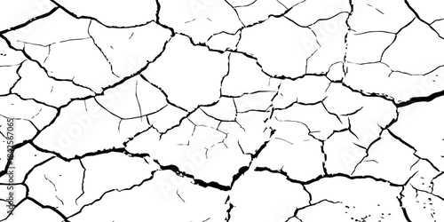 High-contrast cracked texture on a white background, featuring organic fracture lines and distressed surface details. Perfect for abstract backgrounds, grunge design, overlays, and artistic effects.