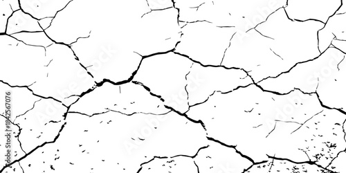 High-contrast cracked texture on a white background, featuring organic fracture lines and distressed surface details. Perfect for abstract backgrounds, grunge design, overlays, and artistic effects.