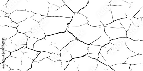 High-contrast cracked texture on a white background, featuring organic fracture lines and distressed surface details. Perfect for abstract backgrounds, grunge design, overlays, and artistic effects.