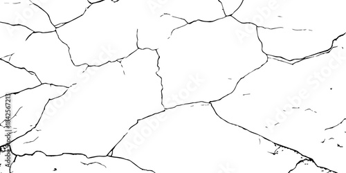 High-contrast cracked texture on a white background, featuring organic fracture lines and distressed surface details. Perfect for abstract backgrounds, grunge design, overlays, and artistic effects.