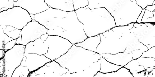 High-contrast cracked texture on a white background, featuring organic fracture lines and distressed surface details. Perfect for abstract backgrounds, grunge design, overlays, and artistic effects.