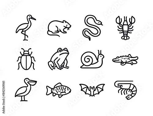 Wetland Animal Icons. Wetland animals. Line icon set of wetland