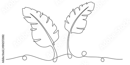 line art of banana leaf