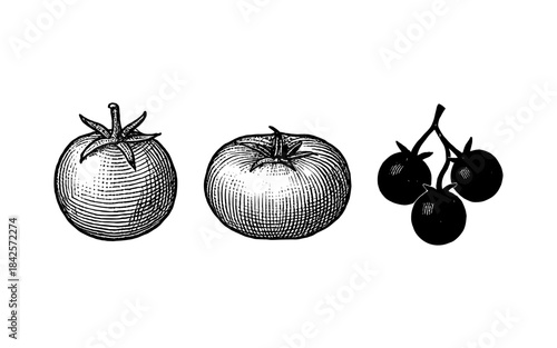 Vintage style hand drawn tomatoes and cherry tomato silhouette