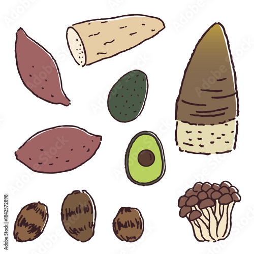 芋類、きのこ、アボガド、たけのこの手描き野菜