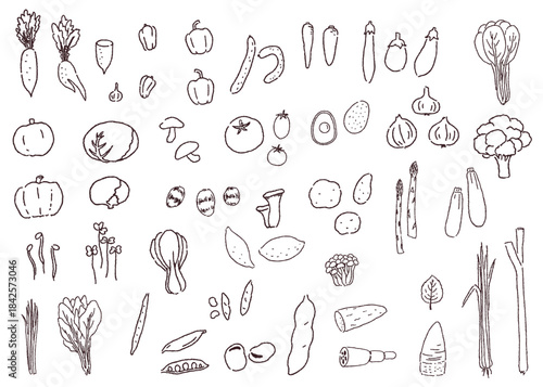 いろいろな野菜　手描き線画のセット
